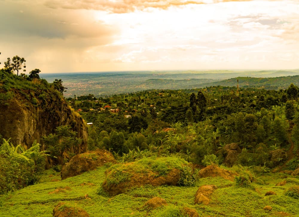 Mbale