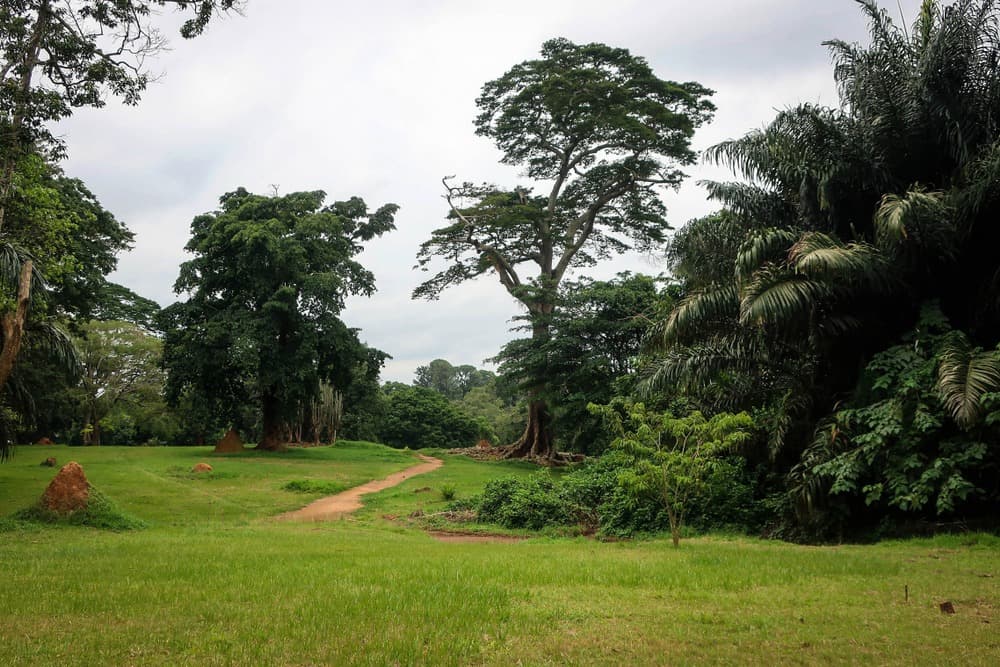 Entebbe Botanical Garden