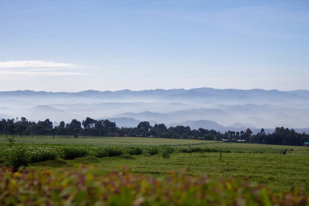 Climate and Best Time to Visit Rwanda