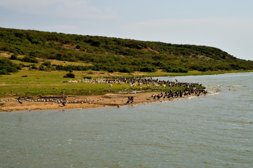 Queen Elizabeth National Park