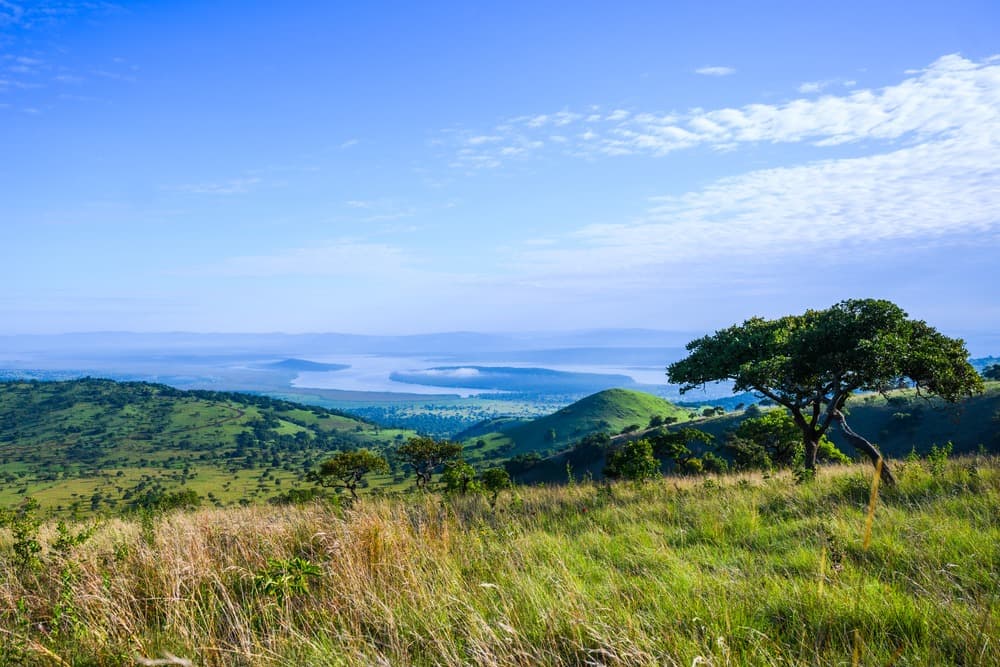 Akagera National Park