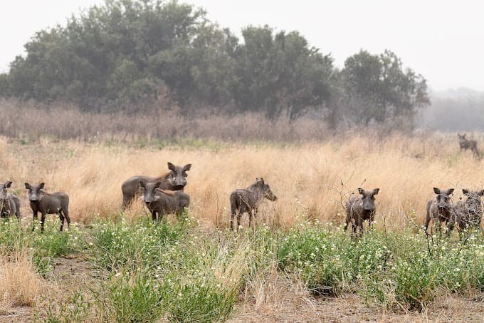 Kabwoya Reserve